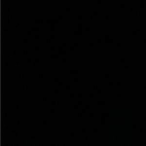 Meet your Posher, Maya